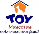 ***TOY MASCOTAS VENTA DE CACHORROS DE RAZA. MEDICINA PREVENTIVA*** 00260